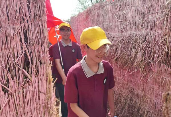 黄河研学 黄河研学